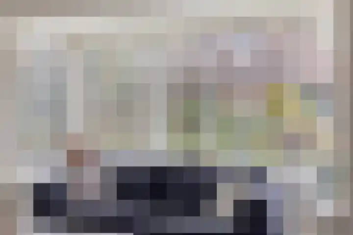 de Plevier 36 Denekamp thumbnail 4