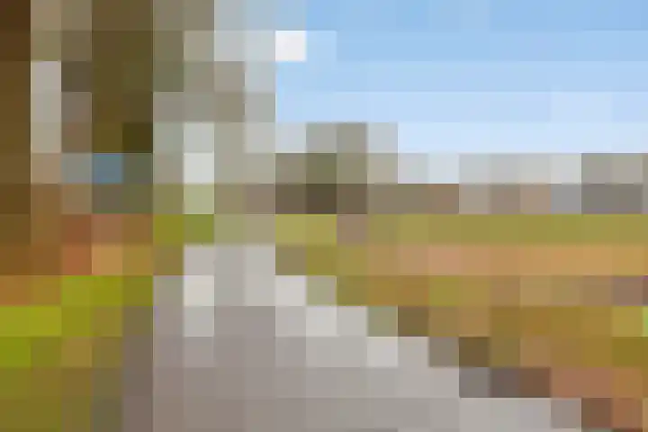 de Plevier 36 Denekamp thumbnail 40
