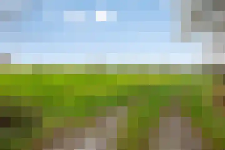 de Plevier 36 Denekamp thumbnail 41