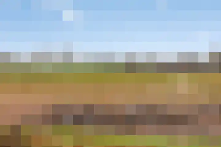 de Plevier 36 Denekamp thumbnail 42