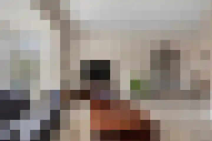 de Plevier 36 Denekamp thumbnail 5