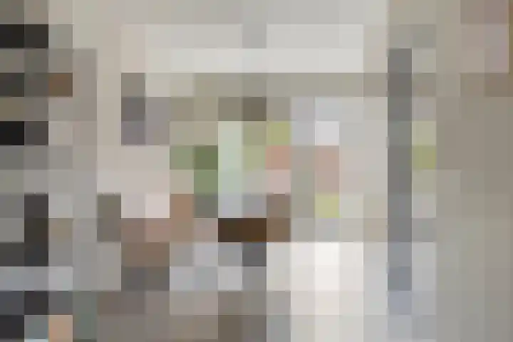 de Plevier 36 Denekamp thumbnail 6