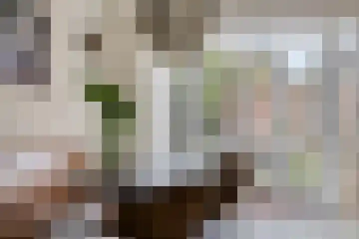 de Plevier 36 Denekamp thumbnail 7