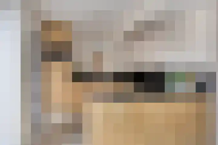 de Plevier 36 Denekamp thumbnail 8