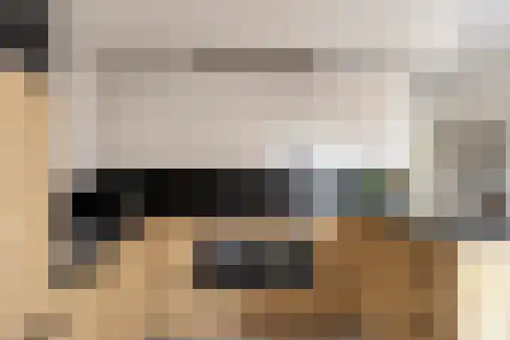 de Plevier 36 Denekamp thumbnail 9
