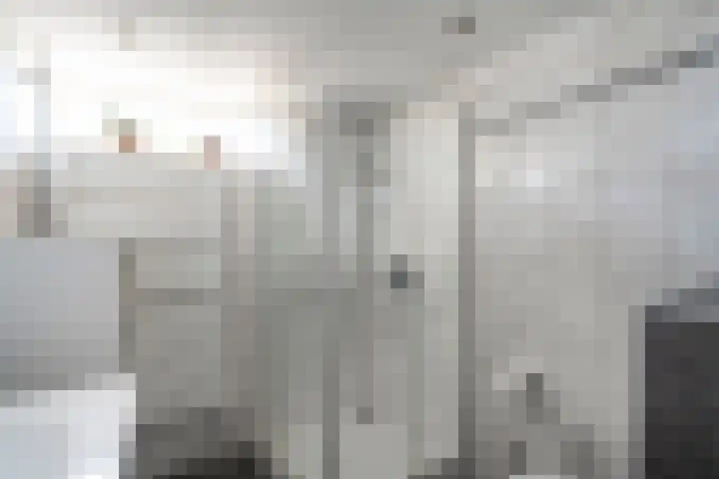 De Plevier 37 Hoogeveen thumbnail 33