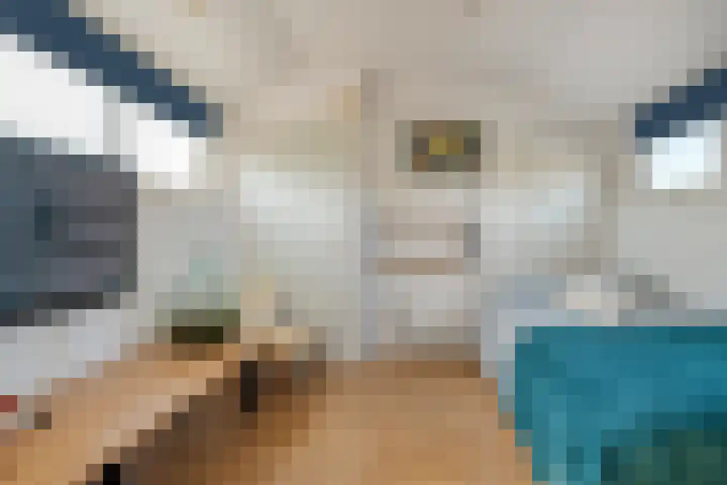 De Plevier 37 Hoogeveen thumbnail 37