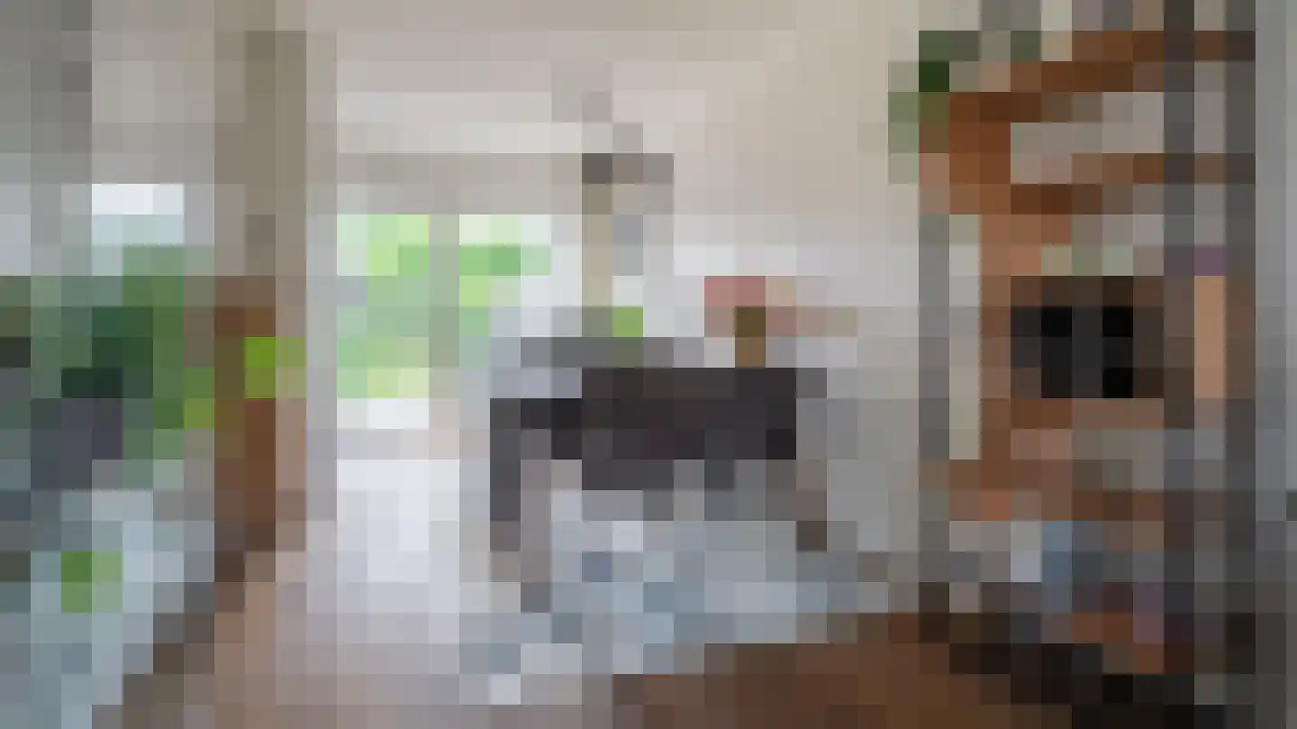 De Plevier 5 Almelo thumbnail 11
