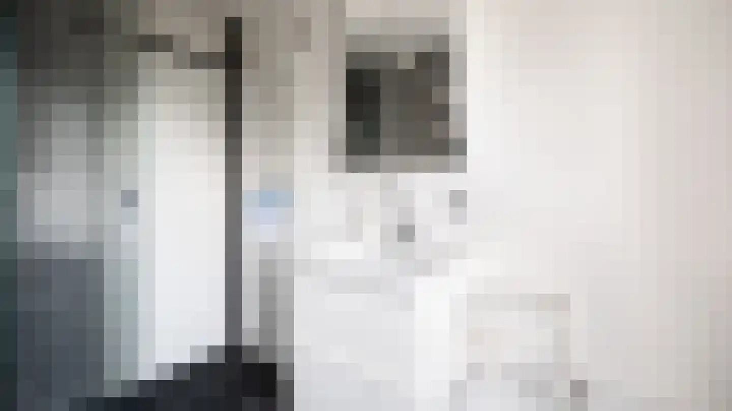 De Plevier 5 Almelo thumbnail 30