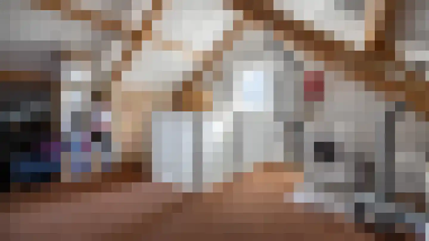 De Plevier 5 Almelo thumbnail 32