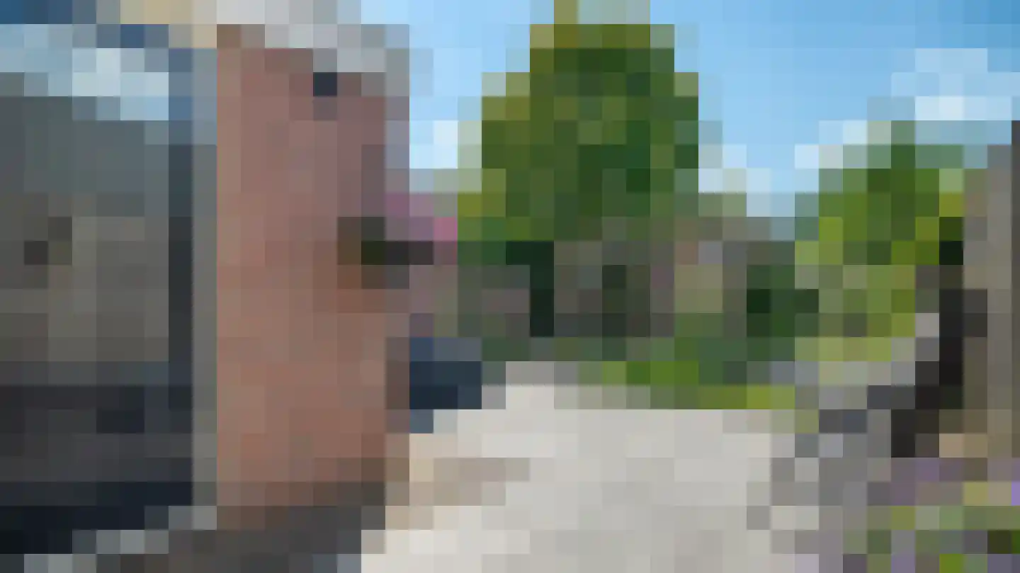 De Plevier 5 Almelo thumbnail 33