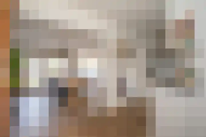 De Plevier 59 Almelo thumbnail 12