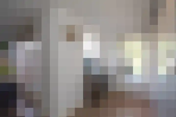 De Plevier 59 Almelo thumbnail 17