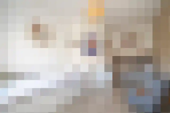 De Plevier 59 Almelo thumbnail 23
