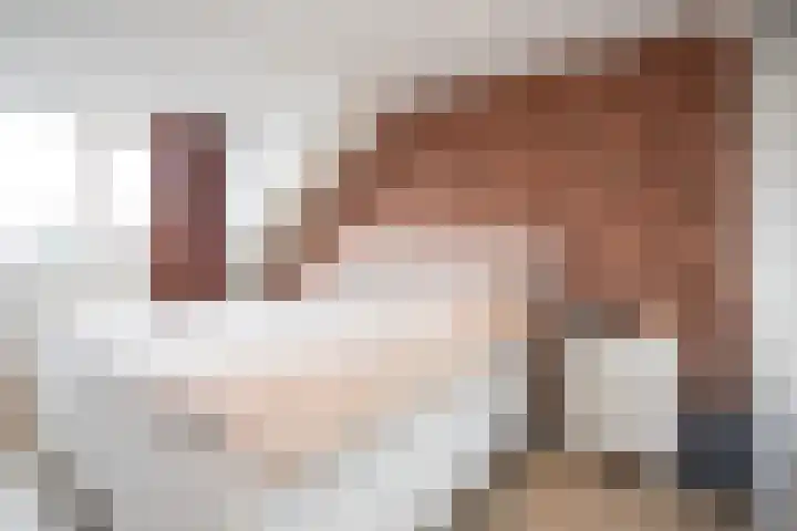 De Plevier 59 Almelo thumbnail 33