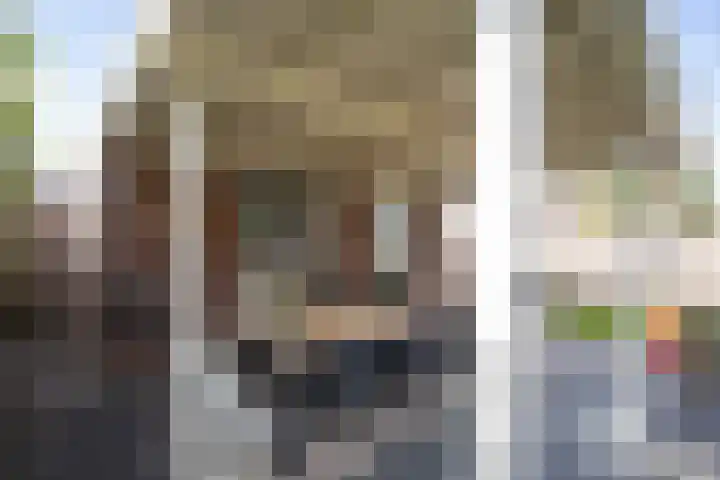De Plevier 59 Almelo thumbnail 44