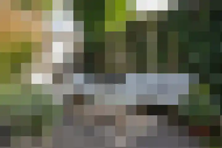De Plevier 59 Almelo thumbnail 46