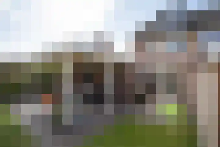 De Plevier 59 Almelo thumbnail 48
