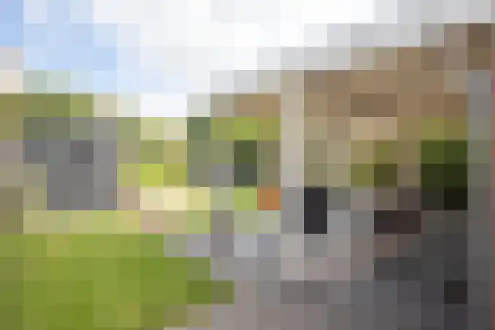 De Plevier 59 Almelo thumbnail 49