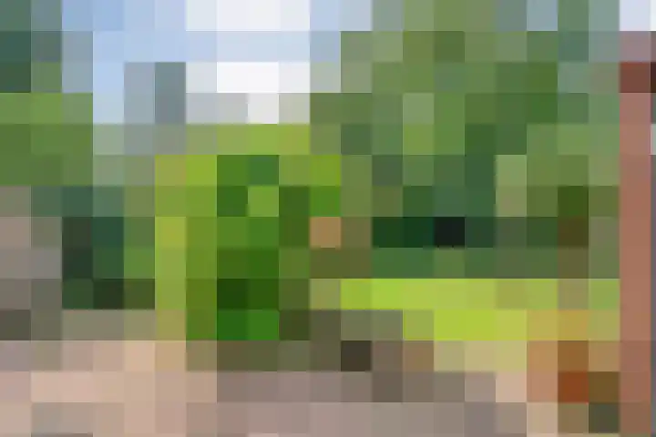 De Plevier 60 Almelo thumbnail 24