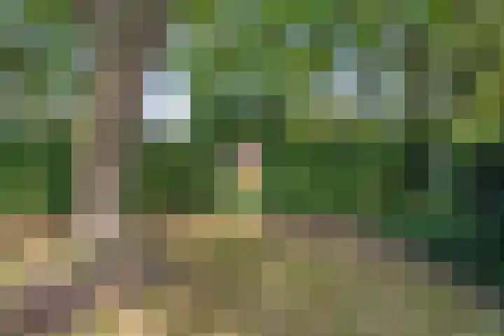 De Plevier 60 Almelo thumbnail 26