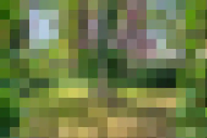 De Plevier 60 Almelo thumbnail 27