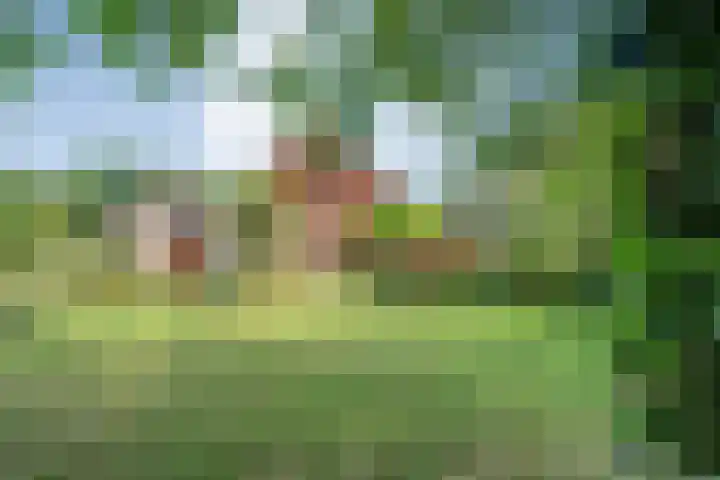De Plevier 60 Almelo thumbnail 4