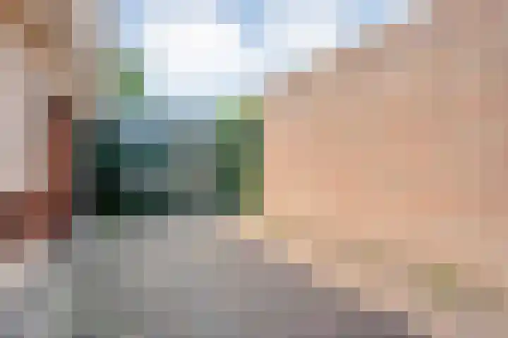 De Plevier 60 Almelo thumbnail 5