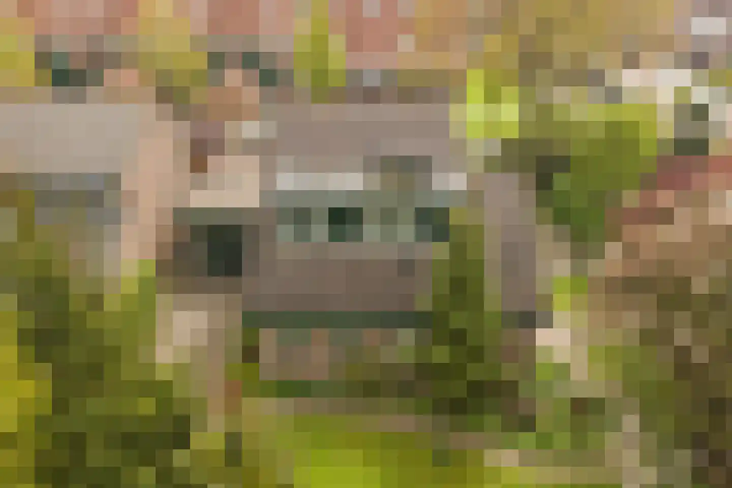De Ploeg 12 in Hoogkarspel