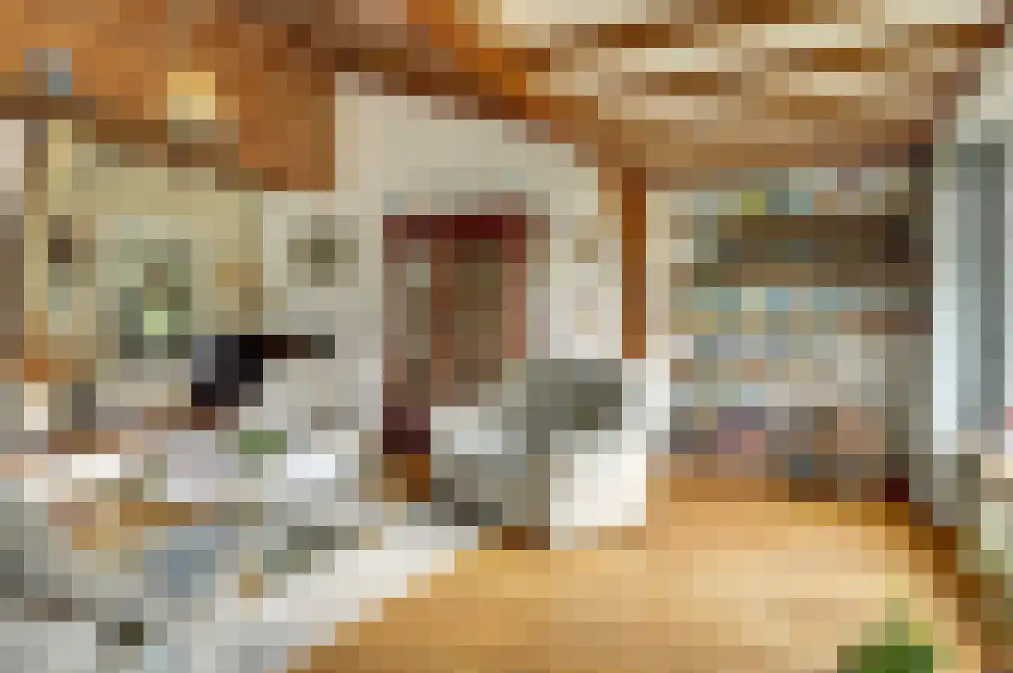 De Ploeg 12 Hoogkarspel thumbnail 14