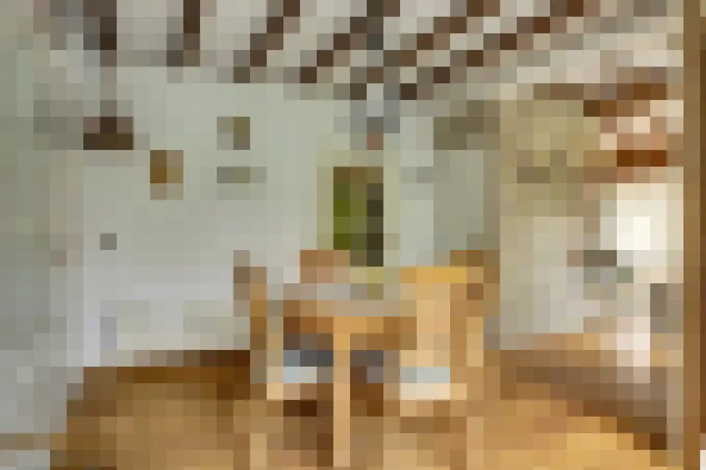 De Ploeg 12 Hoogkarspel thumbnail 18