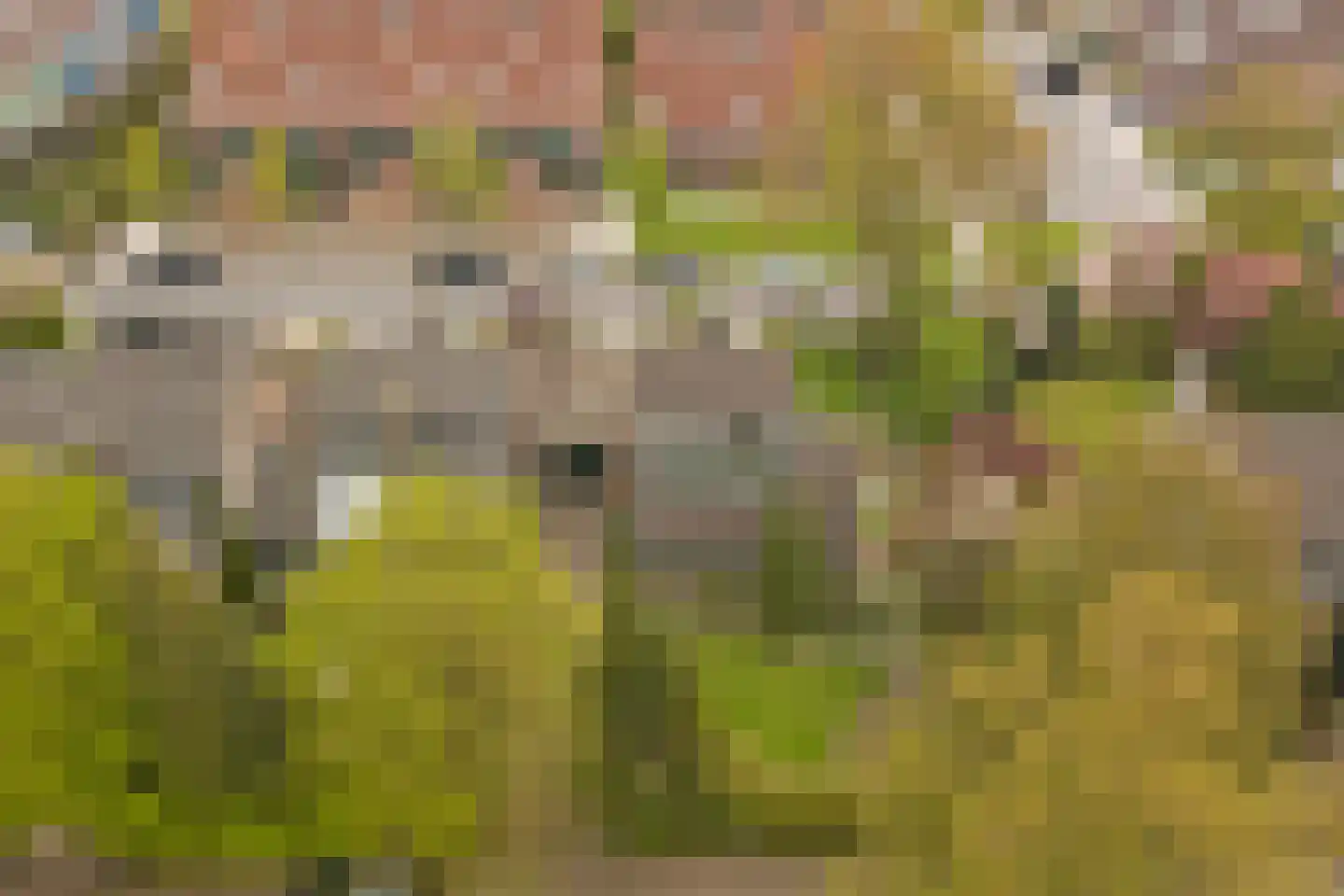 De Ploeg 12 Hoogkarspel thumbnail 33