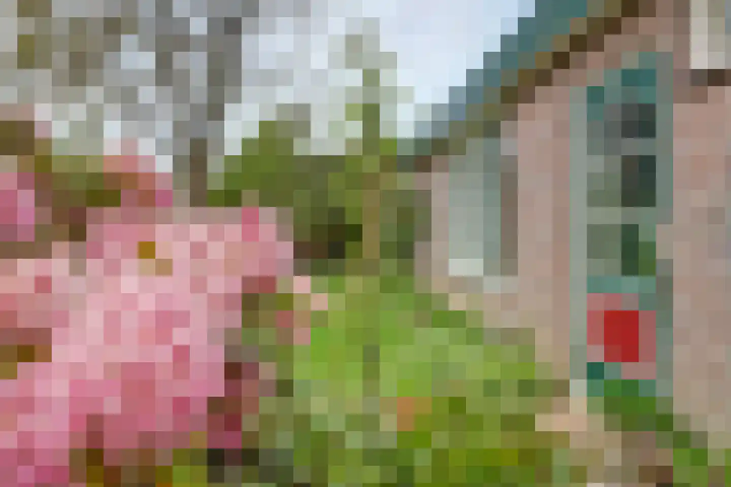 De Ploeg 12 Hoogkarspel thumbnail 37