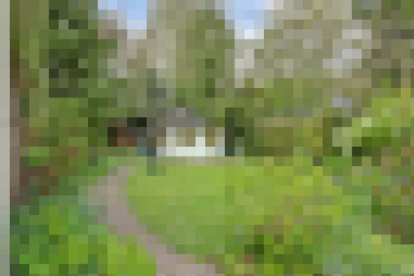 De Ploeg 12 Hoogkarspel thumbnail 38