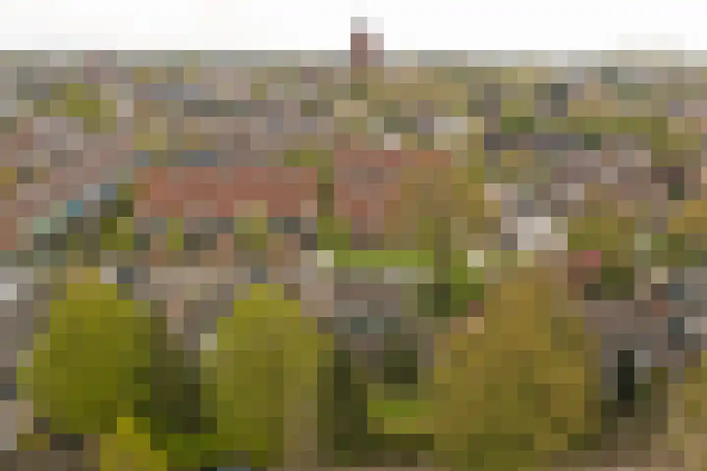 De Ploeg 12 Hoogkarspel thumbnail 40