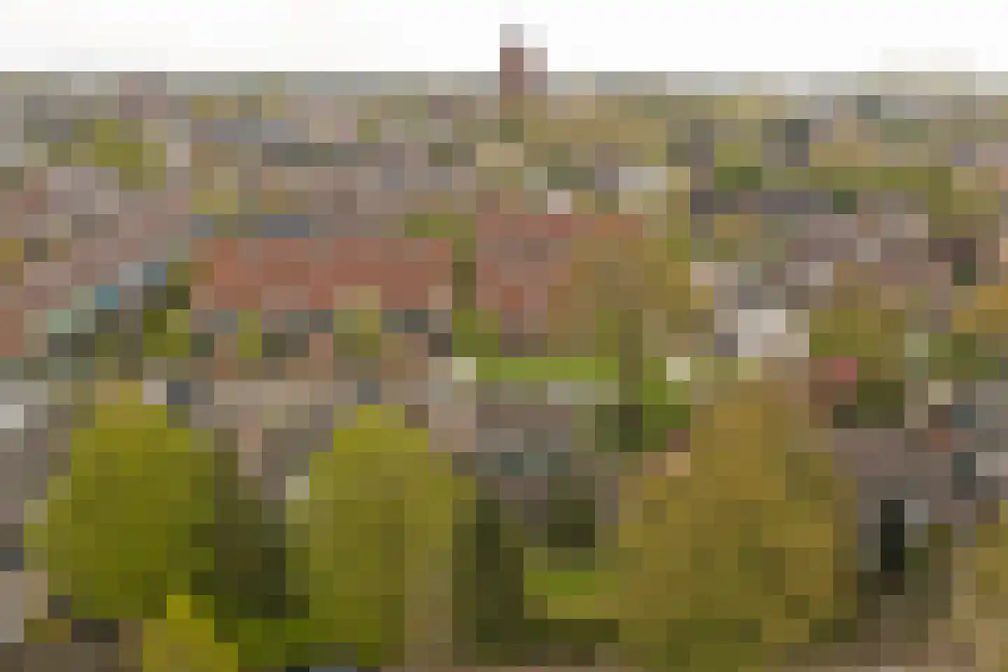 De Ploeg 12 Hoogkarspel thumbnail 41