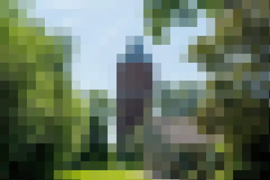 De Ploeg 12 Hoogkarspel thumbnail 44