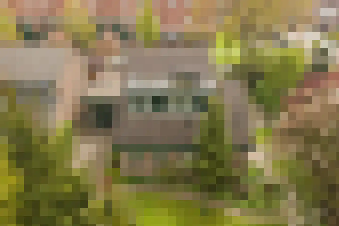 De Ploeg 12 Hoogkarspel thumbnail 5