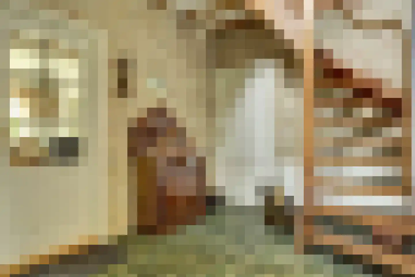 De Ploeg 12 Hoogkarspel thumbnail 8