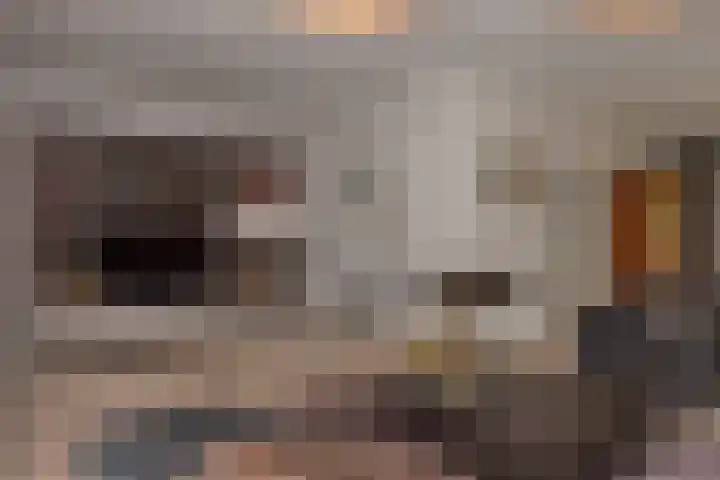 de Ploeg 12 Wezep thumbnail 12