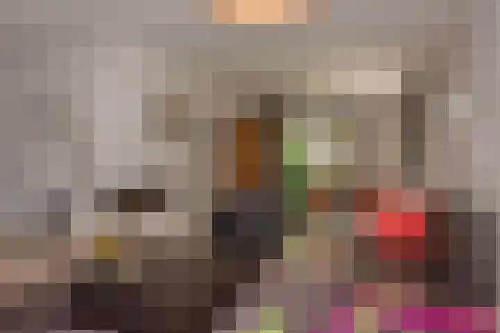 de Ploeg 12 Wezep thumbnail 13