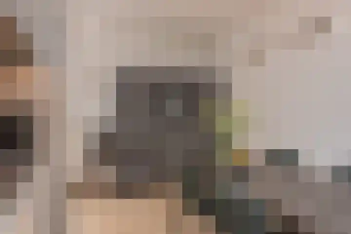 de Ploeg 12 Wezep thumbnail 19