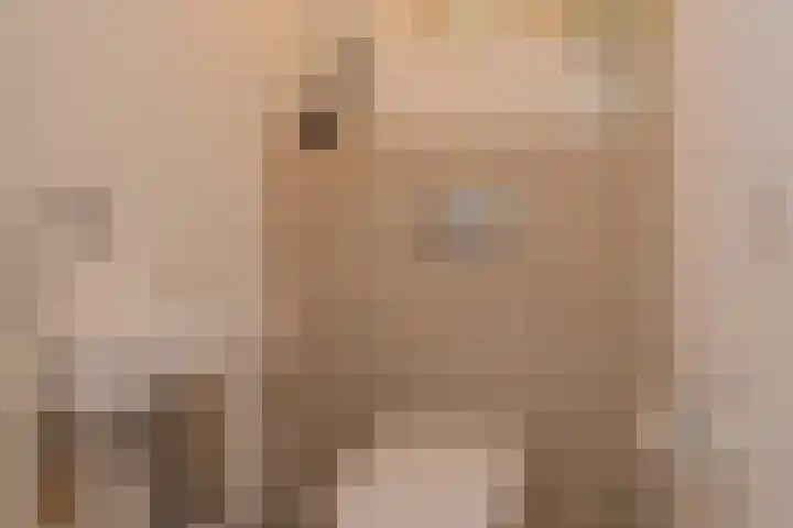de Ploeg 12 Wezep thumbnail 21