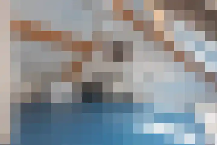 de Ploeg 12 Wezep thumbnail 36