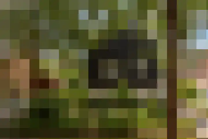 de Ploeg 12 Wezep thumbnail 4
