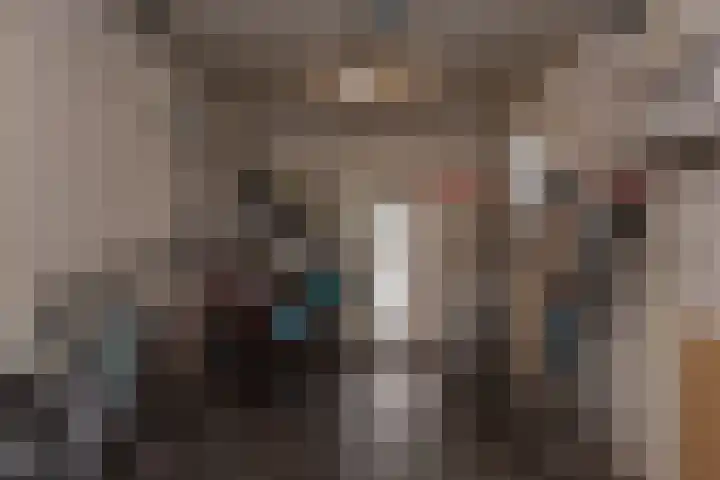 de Ploeg 12 Wezep thumbnail 43