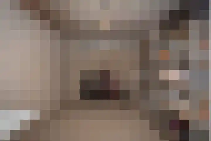 de Ploeg 12 Wezep thumbnail 49