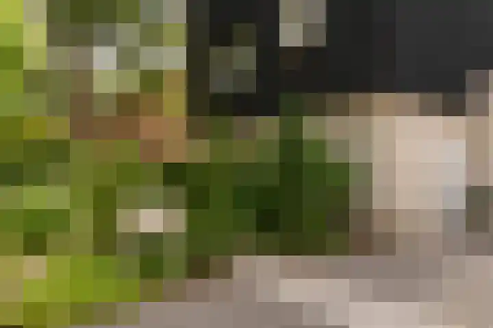 de Ploeg 12 Wezep thumbnail 5