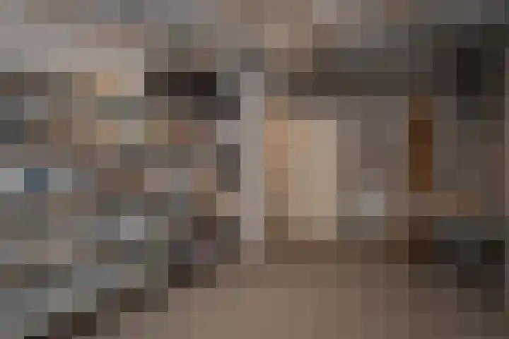 de Ploeg 12 Wezep thumbnail 50
