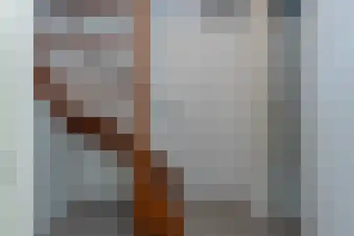 de Ploeg 12 Wezep thumbnail 51